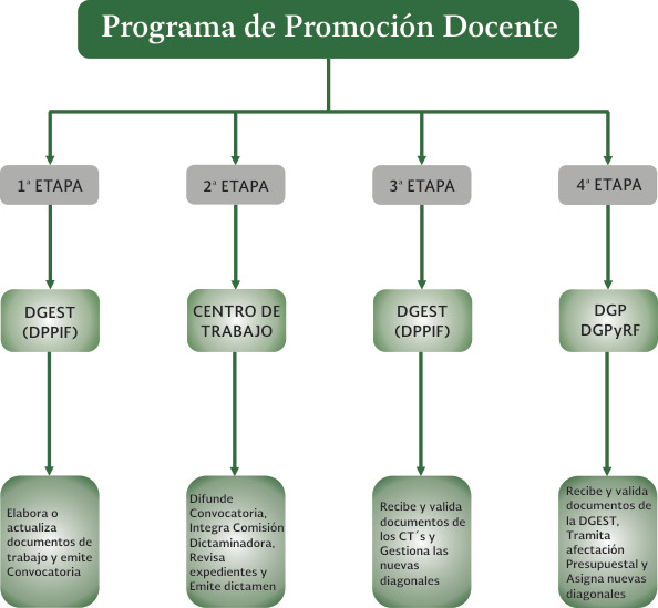 promocion-docente